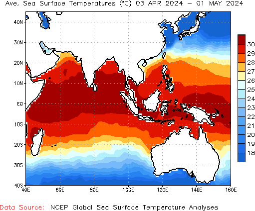 Monthly SST