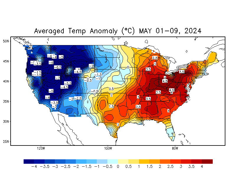Daily Anomaly Temperature (C)