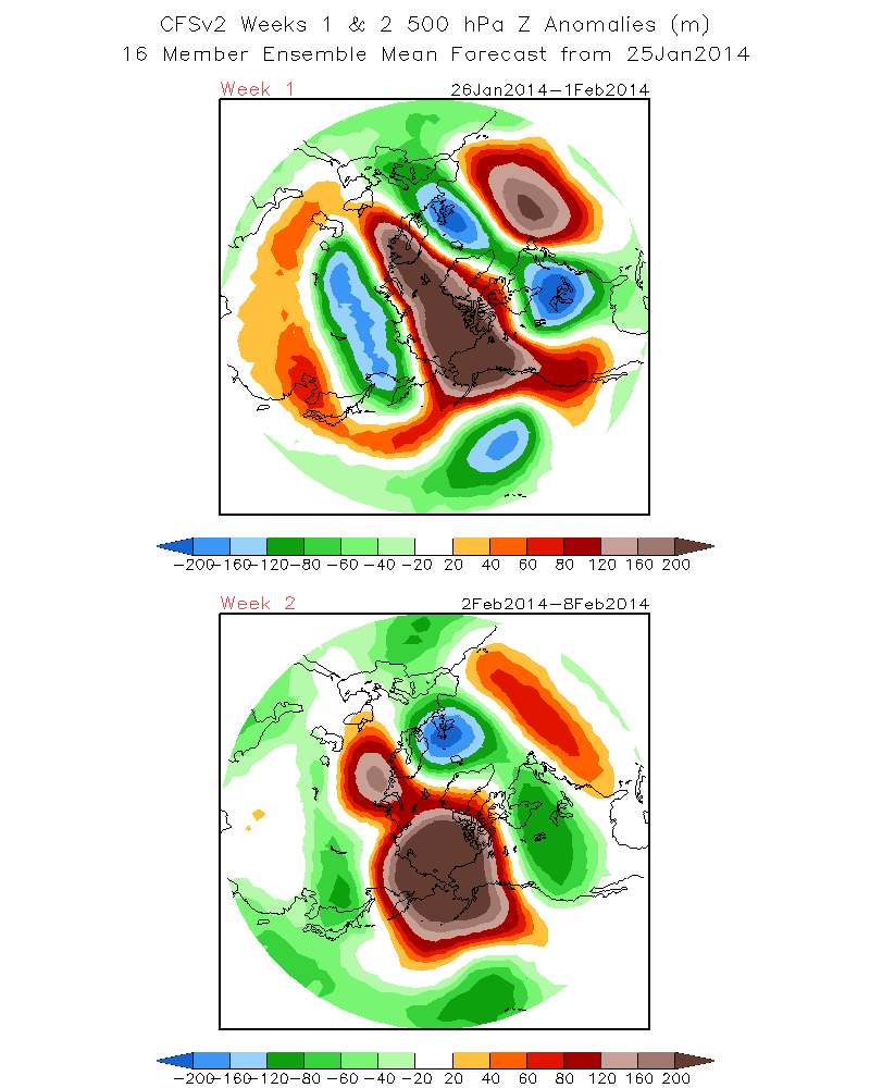 wk1.wk2_20140125.z500.gif