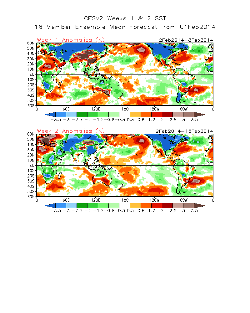 wk1.wk2_20140201.Tsfc.gif