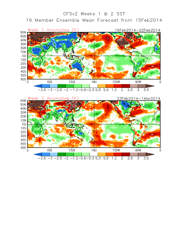 wk1.wk2_20140215.Tsfc.gif