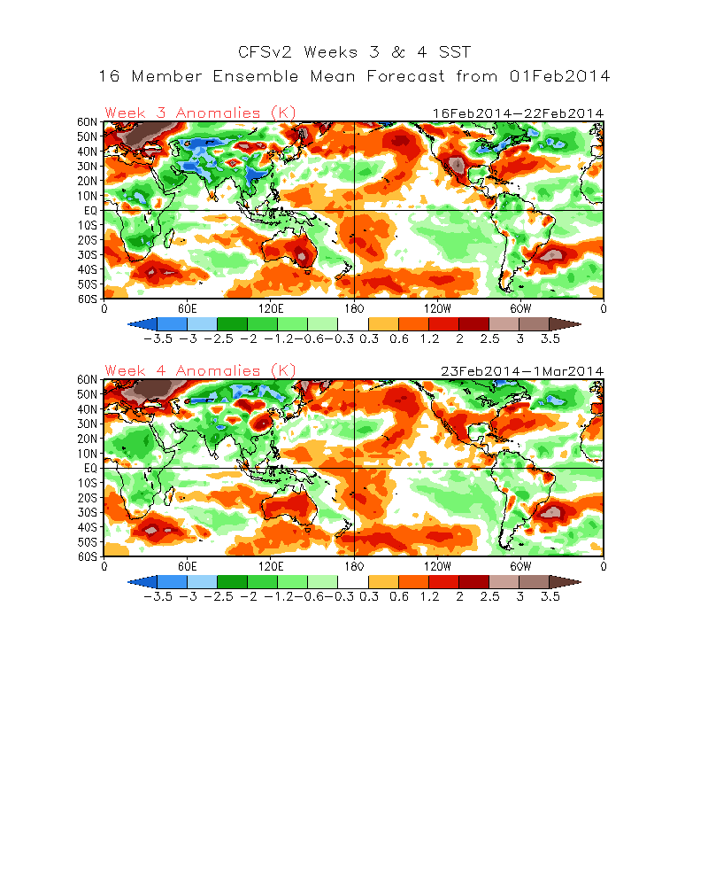 wk3.wk4_20140201.Tsfc.gif