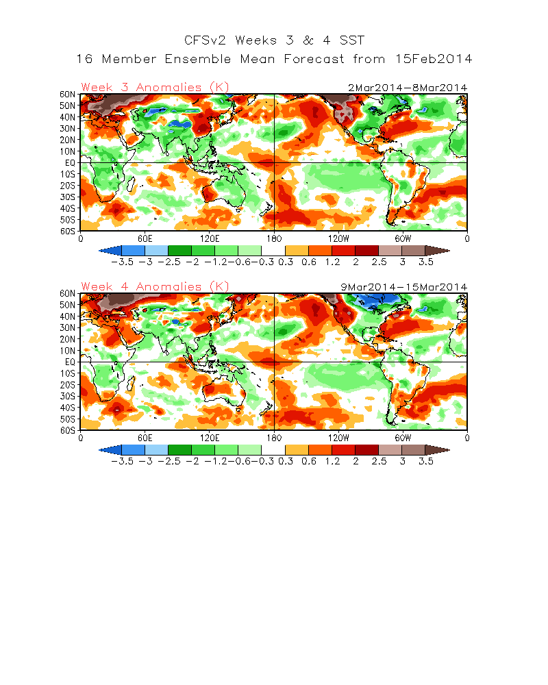 wk3.wk4_20140215.Tsfc.gif