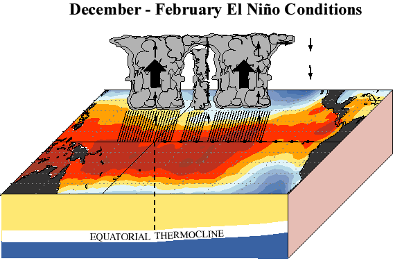 December to February Conditions