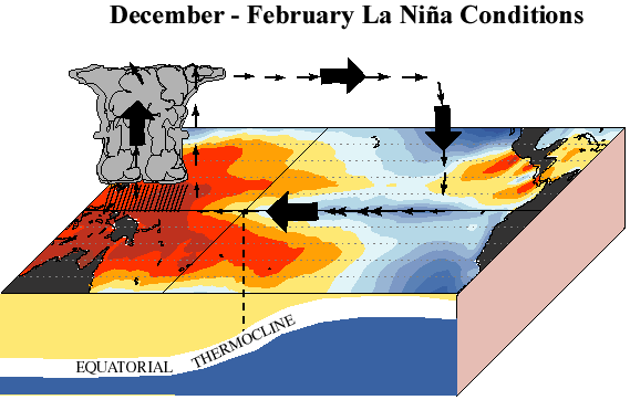 december to February Conditions