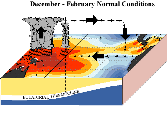December to February Normal Conditions