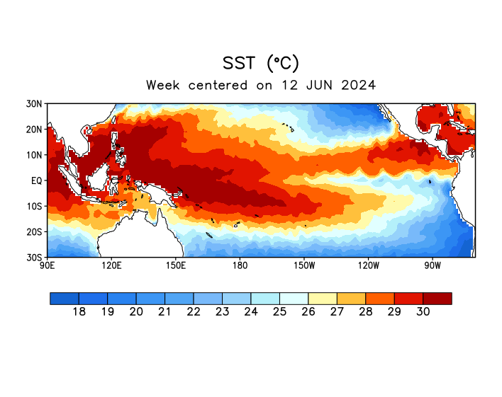 SST current conditions map