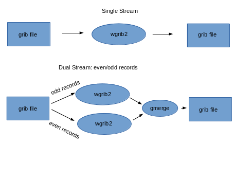 diagram of single and dual processing streams
